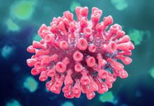 Como um erro de tradução criou uma ‘pneumonia desconhecida’ mais letal que a Covid-19