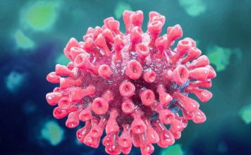 Como um erro de tradução criou uma ‘pneumonia desconhecida’ mais letal que a Covid-19