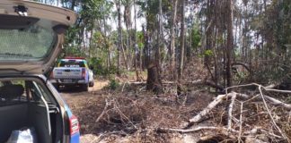 Polícia Militar flagra desmatamento ilegal no município de Indiaroba