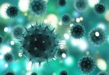 Coronavírus: Aracaju tem incidências abaixo da média nacional