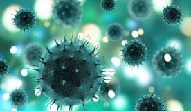 Coronavírus: Aracaju tem incidências abaixo da média nacional