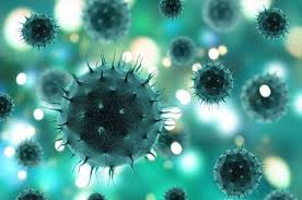 Coronavírus: Aracaju tem incidências abaixo da média nacional