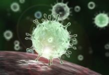 Coronavírus: mais um caso confirmado em Lagarto e três em Simão Dias com um óbito