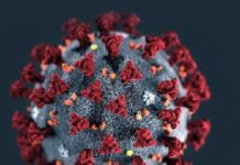 Taxa de transmissão do coronavírus na Bahia cai de 40% para 6,4% em dois meses