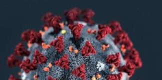 Covid-19: Brasil tem uma das menores taxas de morte por milhão de habitantes