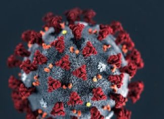 Covid-19: Brasil tem uma das menores taxas de morte por milhão de habitantes