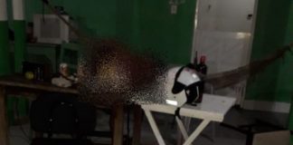 Duplo homicídio é registrado na zona rural de Itabaiana