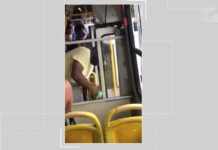 Mulher é agredida e expulsa de ônibus de Salvador por não usar máscara de proteção; VÍDEO