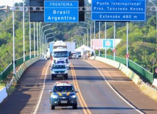 Para passagem de elefanta, fronteira entre Brasil e Argentina é reaberta após 49 dias