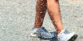 Moradores de loteamento do município de Itabaiana na “bronca” com a situação de animais soltos fazendo sujeira em frente as residências daquela localidade