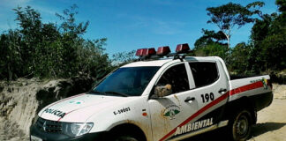 Polícia Militar flagra pássaros silvestres em cativeiro ilegal no Bugio