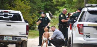 Cães protegem menino autista de três anos que se perdeu nos EUA