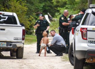 Cães protegem menino autista de três anos que se perdeu nos EUA