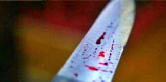 Mulher é presa em flagrante após desferir golpes de facão contra a sua vizinha em Frei Paulo