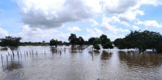 Chuvas acima da média e ventos extremos podem ser registrados em Sergipe no próximo trimestre, diz meteorologista