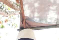 Ativista lagartense receberá recursos para proteger a comunidade LGBT da covid-19