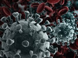 Texto de um Tobiense a respeito do Covid-19