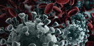 Texto de um Tobiense a respeito do Covid-19