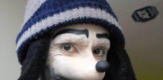 ‘Homem Pateta’: Polícia faz alerta a pais sobre perfil que pode induzir suicídio