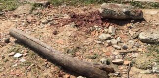 Homem é morto a pauladas e pedradas no município de Nossa Senhora do Socorro