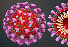 Lagarto chega a 200 casos do novo coronavírus, sendo que 114 pessoas já foram curadas