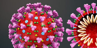 Lagarto chega a 200 casos do novo coronavírus, sendo que 114 pessoas já foram curadas