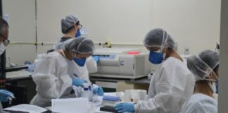 SES investiga 30 mortes em Sergipe que tem como suspeita o coronavírus, entre elas, a de uma idosa de Itabaiana