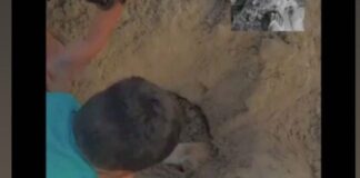 CRUELDADE: cachorro é enterrado vivo no Sertão sergipano