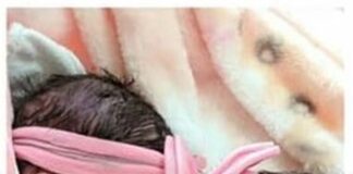 Recém-nascidas gêmeas morrem após serem atacadas por cachorro da família no sudoeste da Bahia