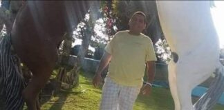 Homicídio por arma de fogo é registrado no povoado Brasília em Lagarto SE