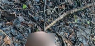 Casal é preso acusado de matar homem em Carmópolis