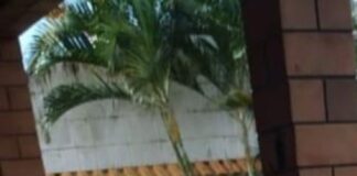 Um suspeito morre e outro é preso durante operação contra o tráfico de drogas em Ribeirópolis