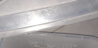 Tatuador é preso em MT por manter cobras em estúdio de tatuagem; polícia foi ao local após cliente denunciar abuso sexual