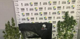 PM prende traficante em Tobias Barreto, com plantio de maconha dentro de casa.