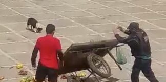 Dois policiais são afastados da função após vídeo de agente virando carrinho de frutas de ambulante em Fortaleza