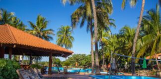 COVIDÃO X ELEIÇÃO