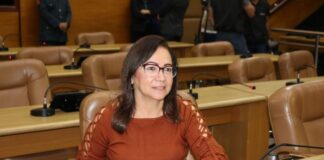 Diná Almeida: “Meu mandato é atuante e cidadão, focado em desenvolver o Estado”