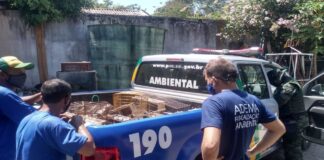 Mais de 120 aves silvestres são apreendidas no município de Lagarto após denúncias de maus tratos