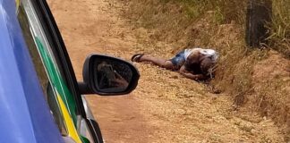 Homicídio na cidade de Salgado-SE.