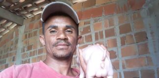 Porco nasce com dois sexos e surpreende produtor em Itabaianinha