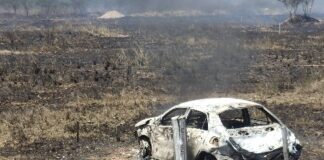 TRAGÉDIA EM TOBIAS BARRETO: Homem morre carbonizado após perder controle do carro