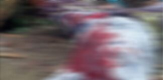 Homem é assassinado a tiros no povoado Rio das Pedras em Itabaiana – SE.