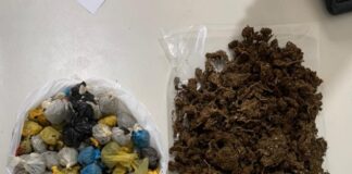 OPERAÇÃO CONJUNTA PRENDE HOMEM POR TRÁFICO DE DROGAS EM TOBIAS BARRETO