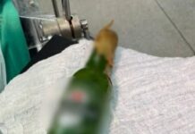 Jovem é levado para hospital após ficar com garrafa presa no ânus