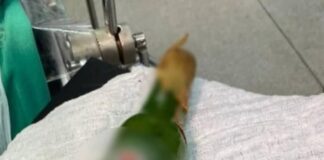 Jovem é levado para hospital após ficar com garrafa presa no ânus