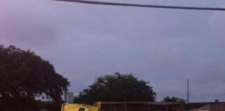 Caminhão carregado com bagaço de laranja tomba na BR-101