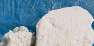 PROPRIÁ: POLÍCIA CIVIL PRENDE CASAL SUSPEITO DE TRÁFICO DE DROGAS