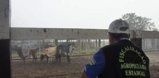 Flagrante de irregularidades é registrado em feira de animais de Tobias Barreto