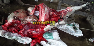 Furto de gado é registrado nesta madrugada em Tobias Barreto