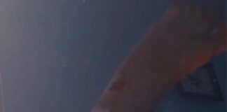 Jovem Tobiense pede ajuda para identificar motorista que o atropelou.